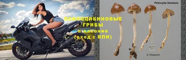 jwh Алзамай