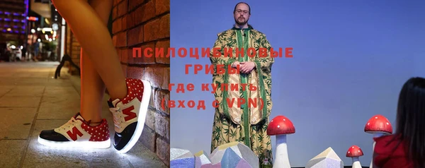ешки Арсеньев