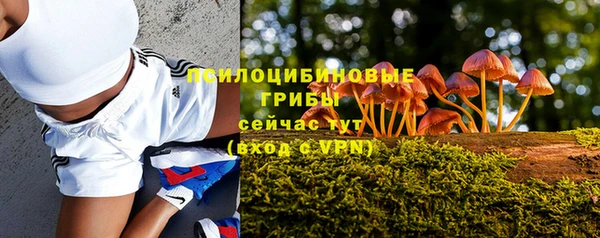 jwh Алзамай